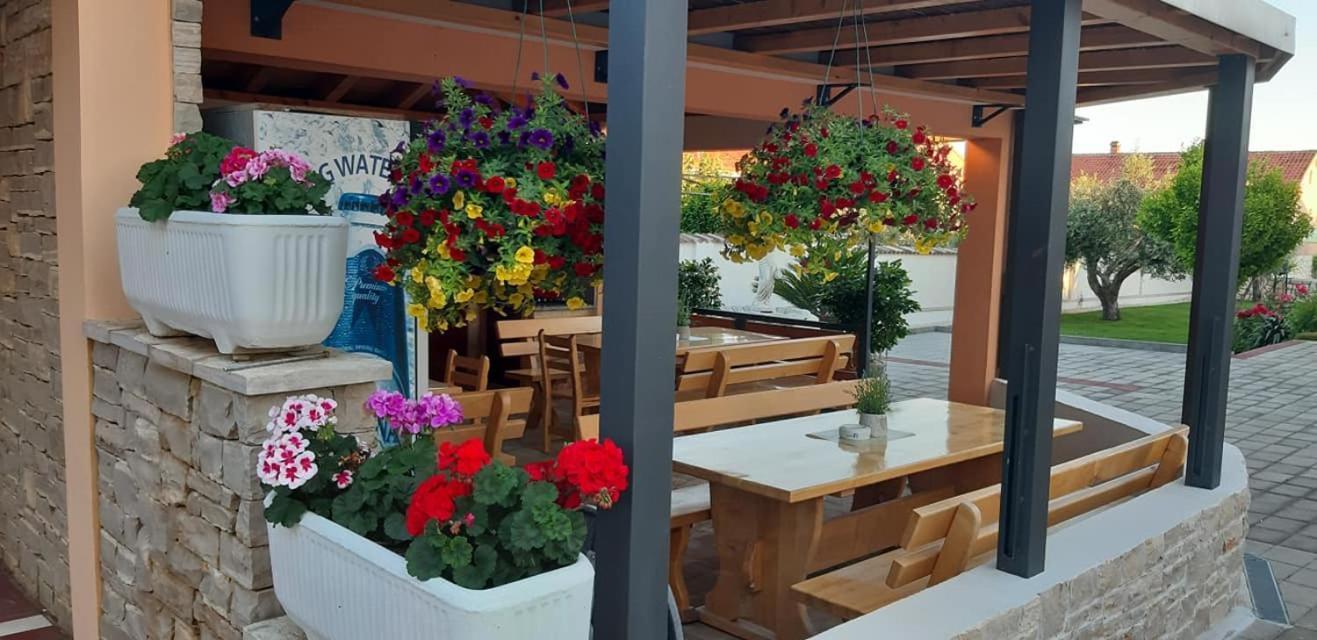 Villa Dalmatina Zadar Mit Pool מראה חיצוני תמונה